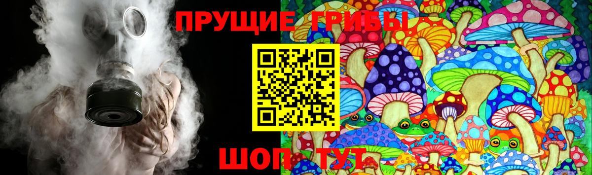 Псилоцибиновые грибы Psilocybine cubensis Азнакаево